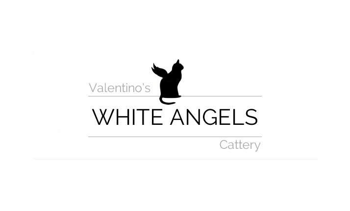 whiteangels